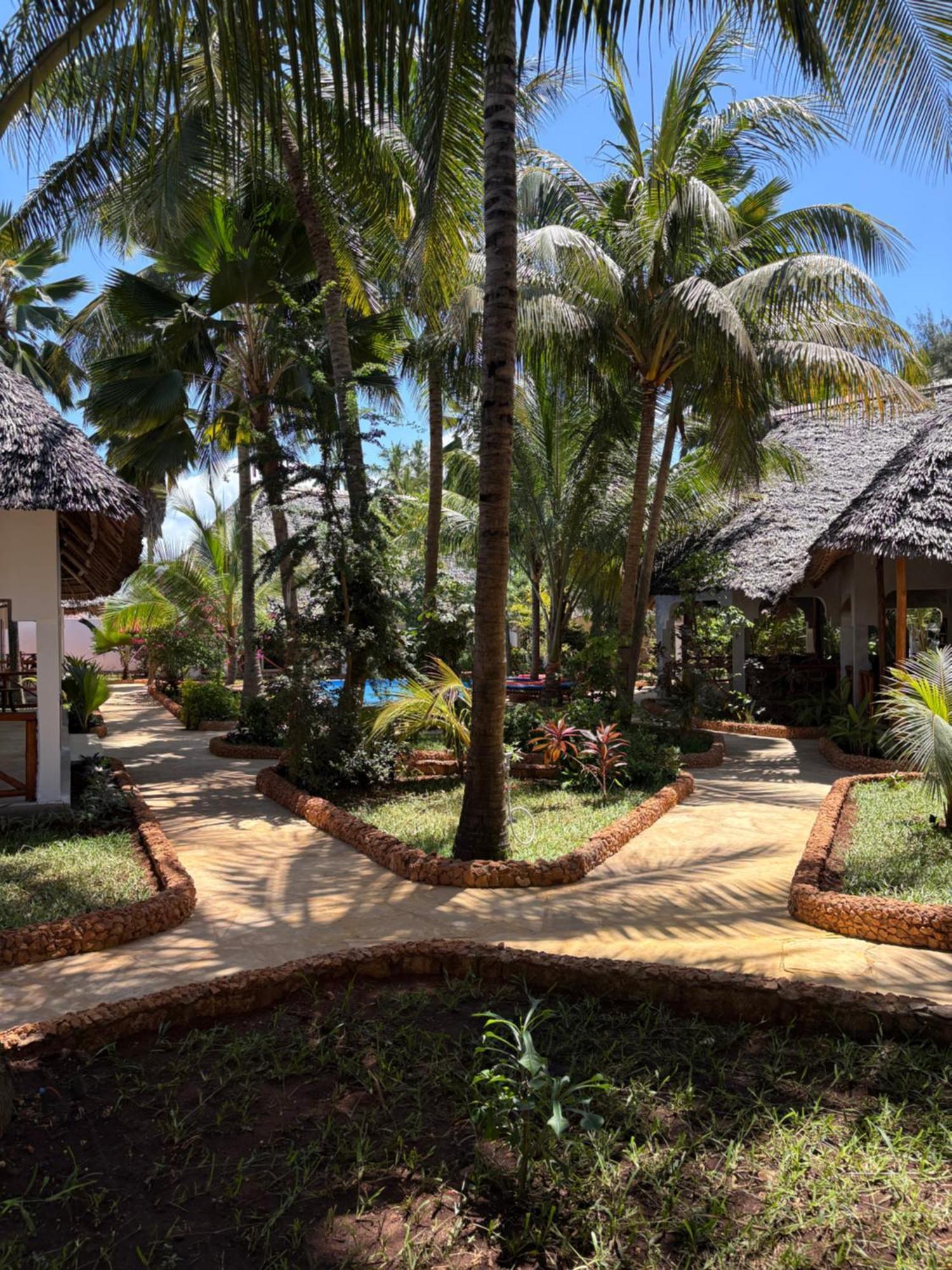 African Bungalows Nungwi Zewnętrze zdjęcie